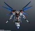 Mobile Suit Gundam SEED Destiny Robot Spirits Action Figure ZGMF-X20A Strike Freedom Gundam