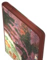 UG Zipfolio 360 Xenoskin MTG Bloomburrow Season of the Burrow