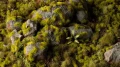 Grass Tufts - Moss (2mm)