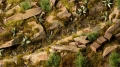 Grass Tufts - Dark Moss (2mm) 