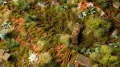 Grass Tufts - Dry Green (2mm) 