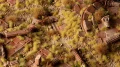 Grass Tufts - Beige (2mm)