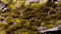 Grass Tufts - Swamp (4mm) 
