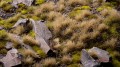 Grass Tufts - Autumn (5mm)