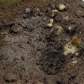 Masa AK Terrains - Muddy Ground