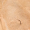 Masa AK Terrains - Sandy Desert