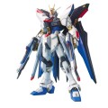 MG 1/100 Strike Freedom Gundam