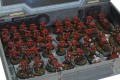 Vanguard Box (Sci-fi)