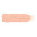 AK ABT502 Basic Flesh Tone 20ml
