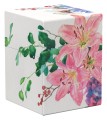 RTE Boulder 100+ Coral Places - Lotus Bloom