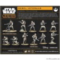 Rebel Veterans