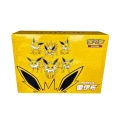 Pokemon TCG: Eevee Evolution Advanced Gift Box - Jolteon (CHI)