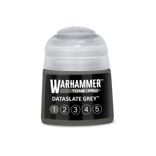 Dataslate Grey 1 12ml (Tone Pro)