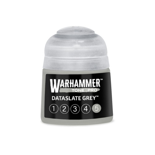 Dataslate Grey 5 12ml (Tone Pro)