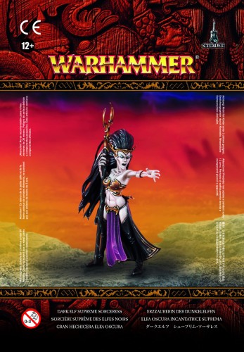 Dark Elf Sorceress